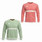 Adidas Handball Goalkeeper Training Long Sleeve Jersey Pink/Green Men's