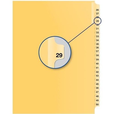 Davis Group Index Divider B14029