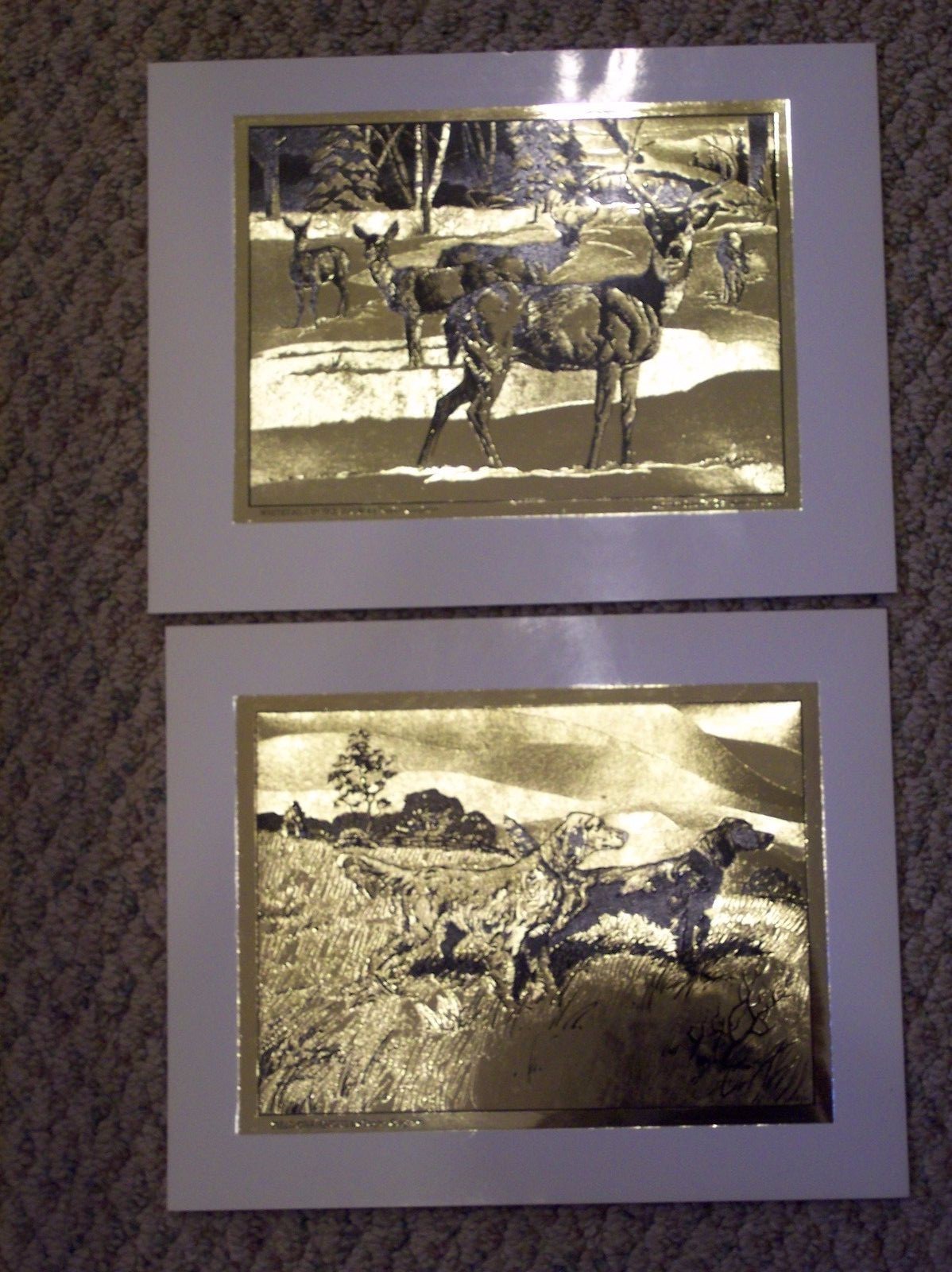 Foto 1 di 8