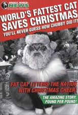 Worlds Fattest Cat Funny  Humorous Nobleworks Christmas Card