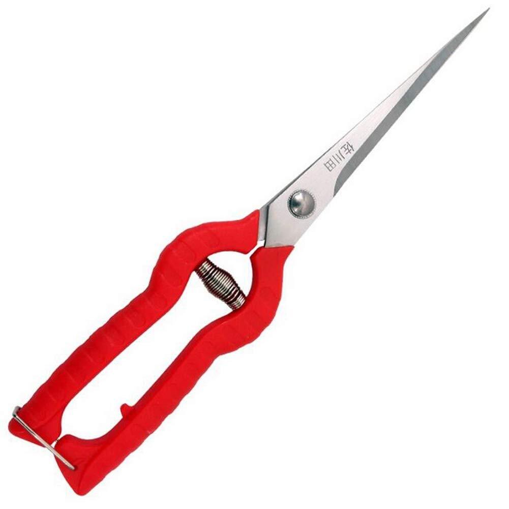 Garden Rose Pruning Shears Scissors, Professional Hand Pruners Straight Blade...