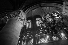 Fine Art Photography - 4x6, 8x12, or 13x19 - Paris, France Notre Dame