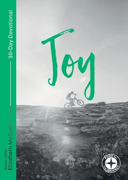 Joy Food For The Journey - Themes Steve Mitchell Taschenbuch Englisch 2020-image