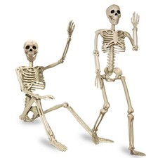2 Pack 24"Halloween Skeleton - 2 ft Life Size Human Skeleton with Full Body P...