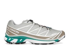 Size 11 Salomon XT-6 Rainy Day Chinchilla L47...