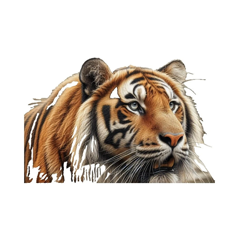 Tigers Home Décor Posters