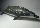 2017 NEW Collecta Animal Toy / Figure  Blainville's Beaked Whale