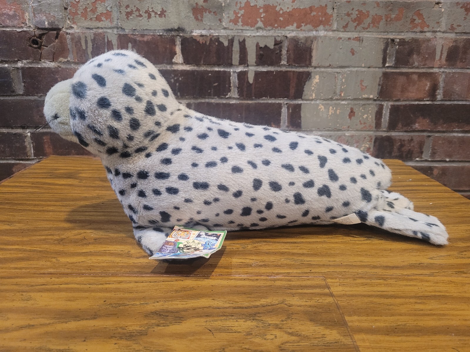 K & M International 2001 Harbor Seal Plush 18 Inches eBay