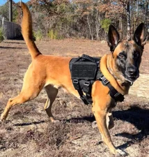 Tactical Dog Harness Military Heavy Duty No Pull Training Gear with Pouch Bags
