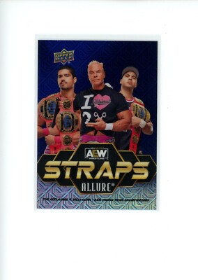 2024 Upper Deck Allure AEW The Acclaimed Billy Gunn S-19 STRAPS Black & Blue /35