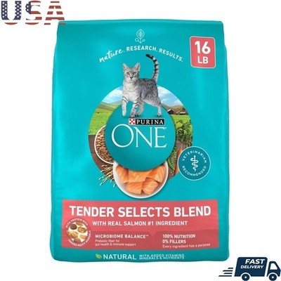 Real Salmon Dry Cat Food High Protein Crunchy Bites Natural Ingredients 16lb New