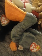 beanie baby scoop