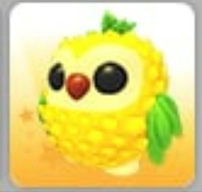 Pineapple Owl | Adopt Now