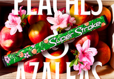 SOLD OUT SuperStroke Tour 2.0 Putter Grip MASTERS EDITION peaches and azaleas
