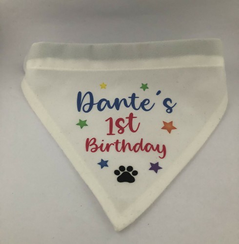 Dog Birthday Bandana Neckscarf with collar Personalised with name and age - Picture 5 of 6