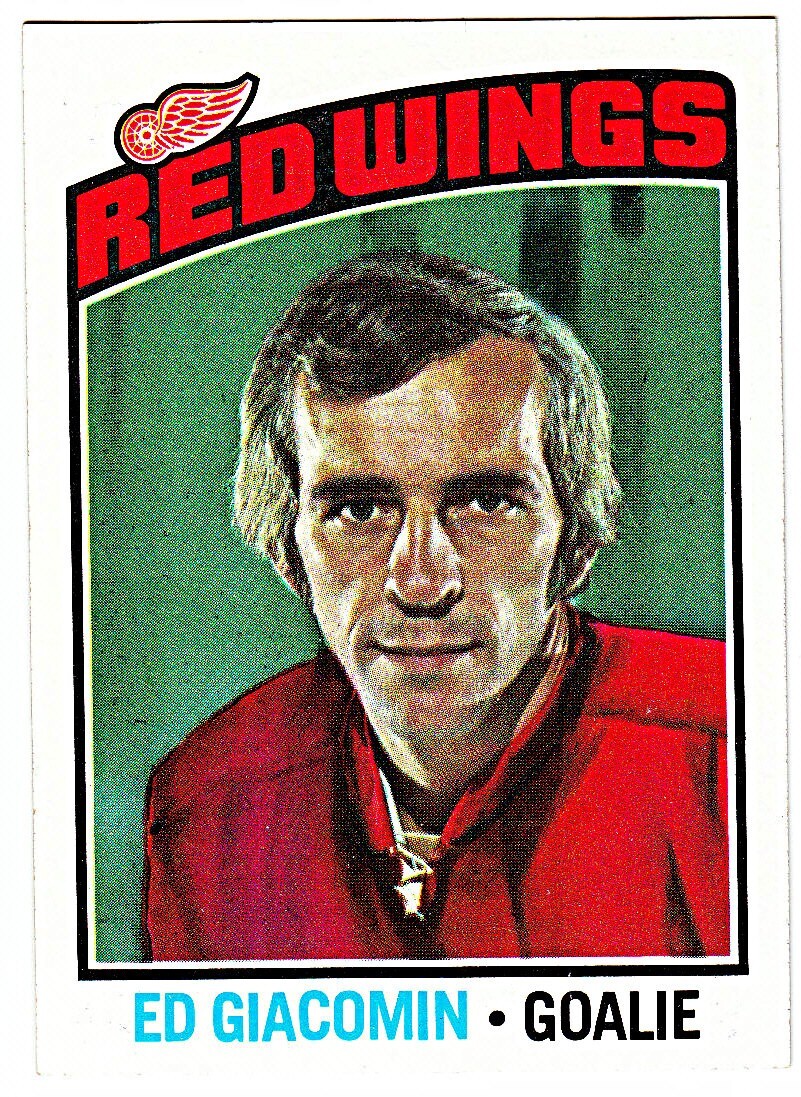 Ed Giacomin #160 Hockey Cards 1976 Topps trading card — raw and PSA graded price guide
