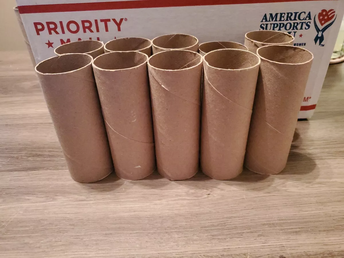 10 Empty Toilet Paper Rolls Tubes Craft Art Cardboard School Holiday Projects
