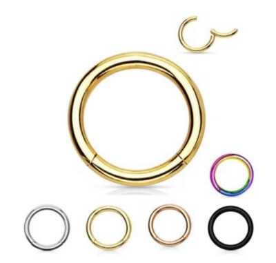 2 Pairs G23 Titanium Hinged Seamless Segment Rings - Nose, Ear, Septum, Labret