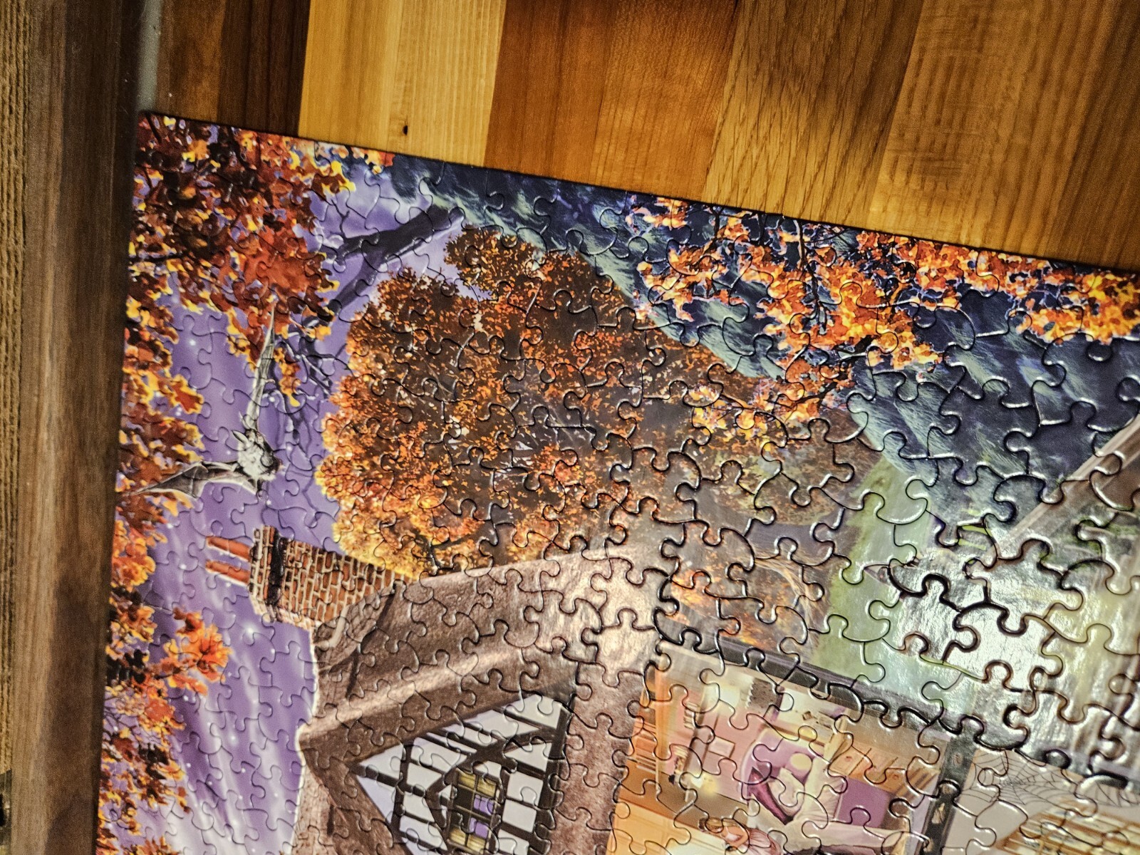 Picture 5 of 12