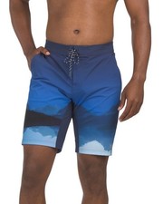 Greyson Board Shorts Swim Trunks Indian Wells Scenic Print Sz 36 Blue Beach NWT