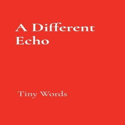 A Different Echo Tiny Words Kimberly Cummings Paperback The Cozy