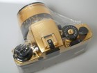 Foto 13 di 24