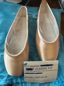 Gaynor Minden Pointe Shoes | eBay