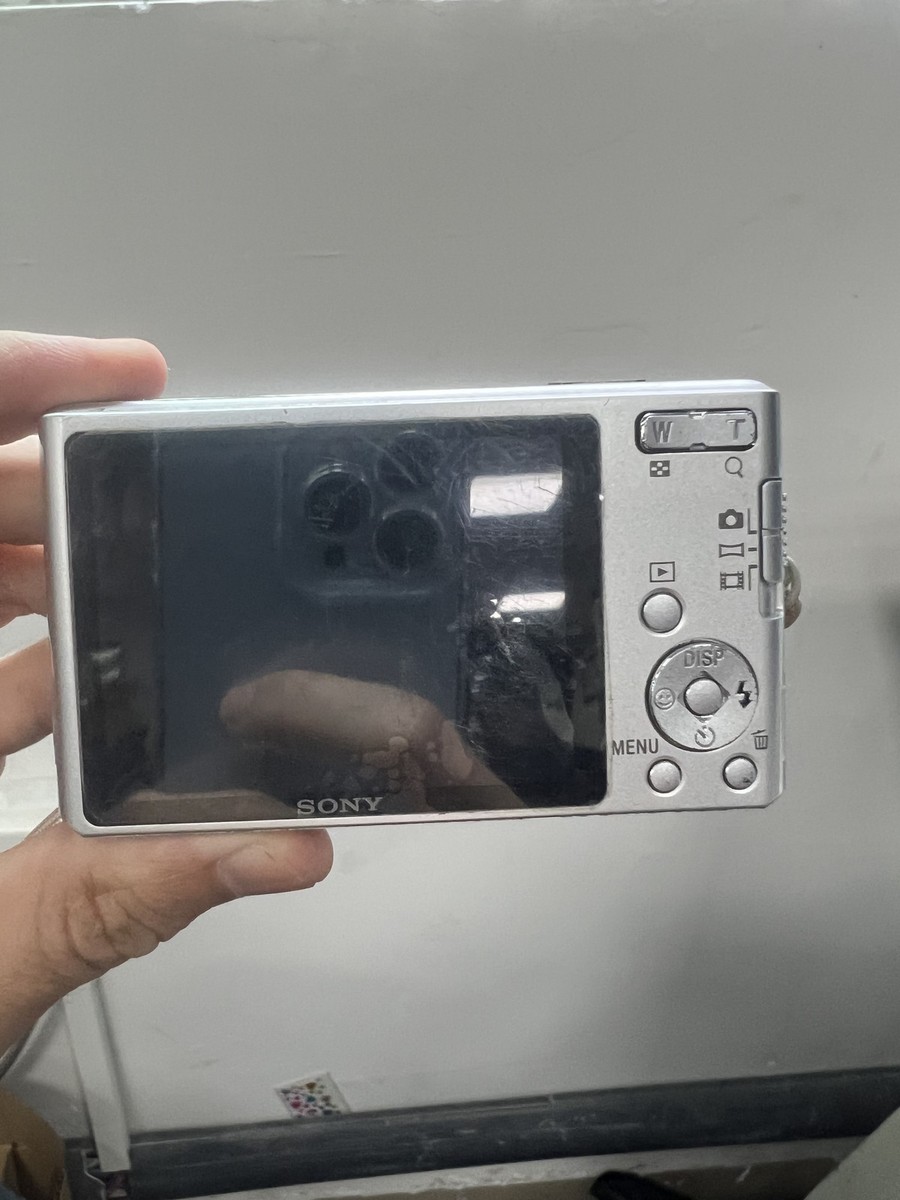 Sony Cyber-shot DSC-W530 Digital Camera 14.1 Megapixels 4x Optical