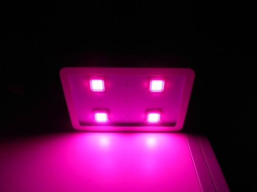 Lampada LED per Crescita Piante Coltivazione Indoor a Sospensione da Interno - Foto 7 di 7
