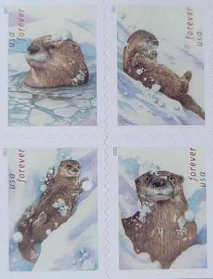Otters in Snow - First-Class ~ Booklet Of 20 Stamps