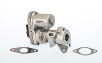 AGR Ventil Borgwarner 711022D FüR Ford Transit Bus Tourneo Tdci RWD 4X4 Fiat 100