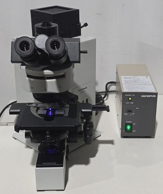 Olympus BX60 BX60F5 DIC Fluorescence Microscope