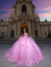 Shimmery 15 Quinceaner Dress Beaded Flower Applique Tulle Ruched Train Ball Gown