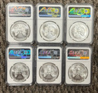 1986-2021 American Eagle Silver Dollar Type 1 Collection 36 ASE Coins, NGC MS-69 — photo 10