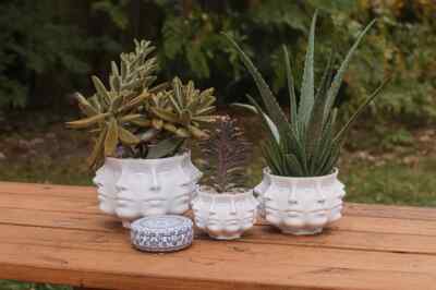 Original Polyface Planter