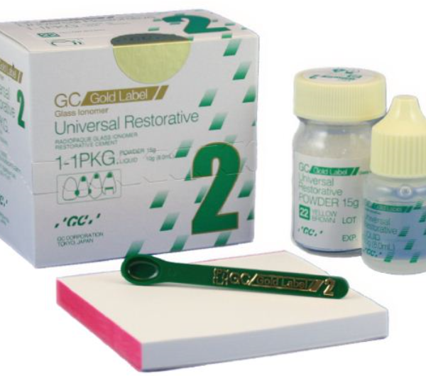 GC Fuji type 2 Glass Ionomer Restorative GIC Dental Cement Mini pack eBay