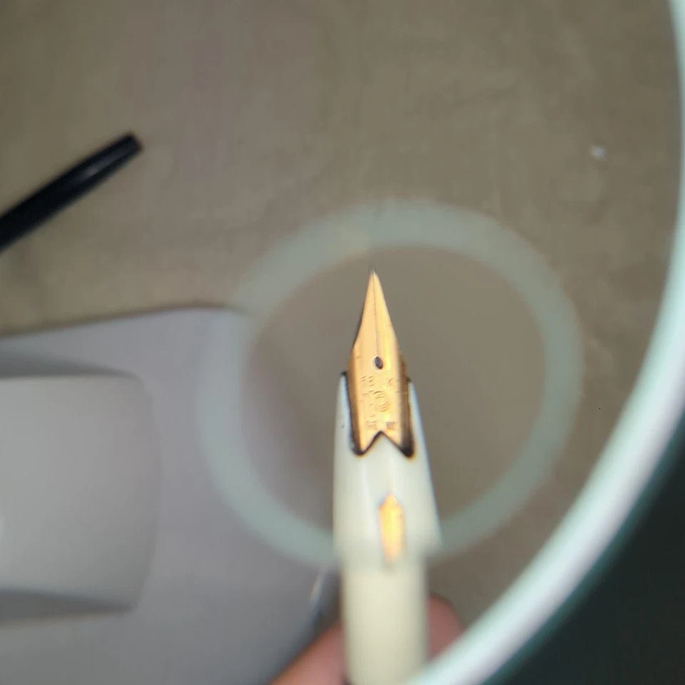 Pluma Estilográfica Pilot Oro 18K Cuero Envuelto Diseño Floral Punta Fina F Foto 2 de 4