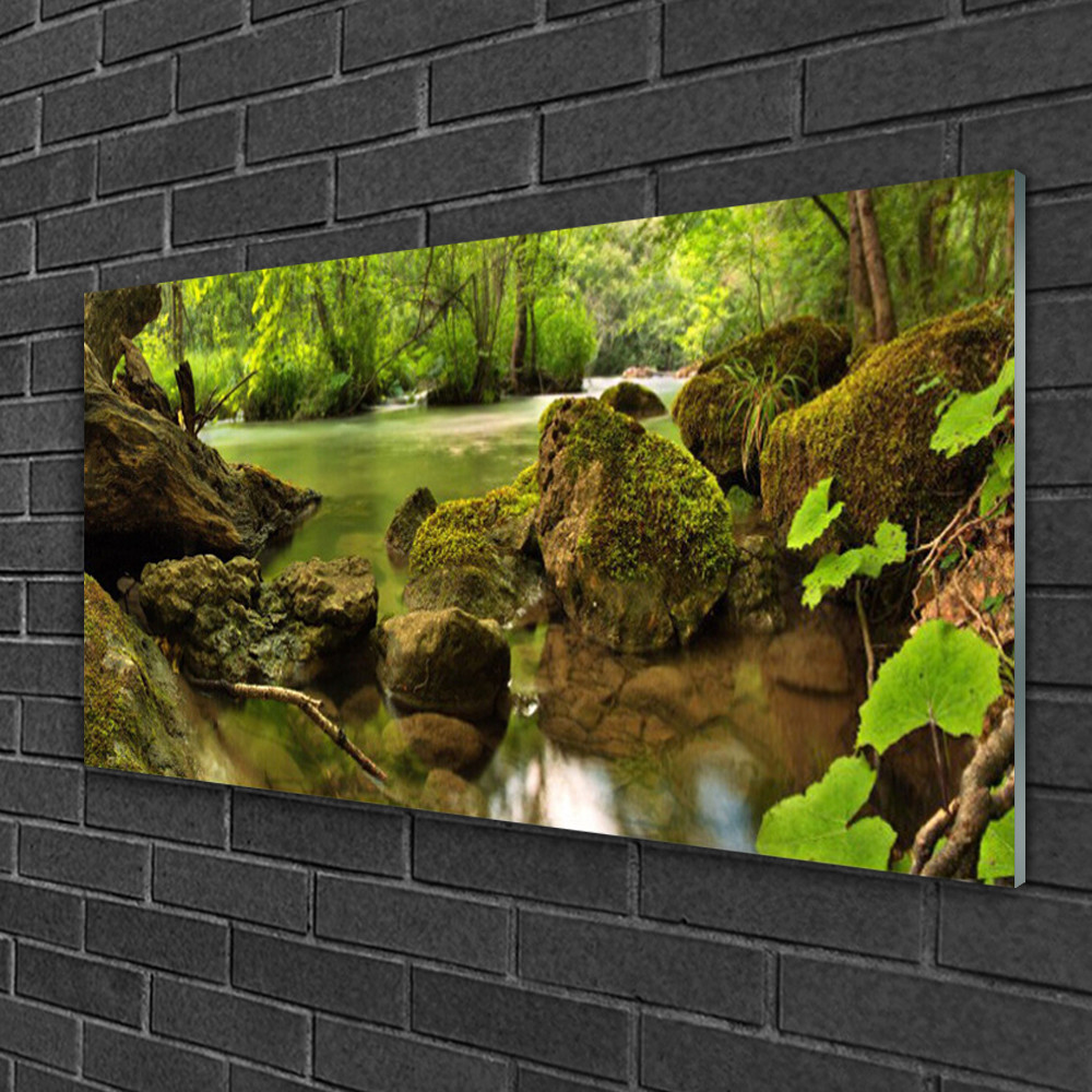 Tableau sur verre de sécurité impression HD Nature Roche Lac luxe 100x50
