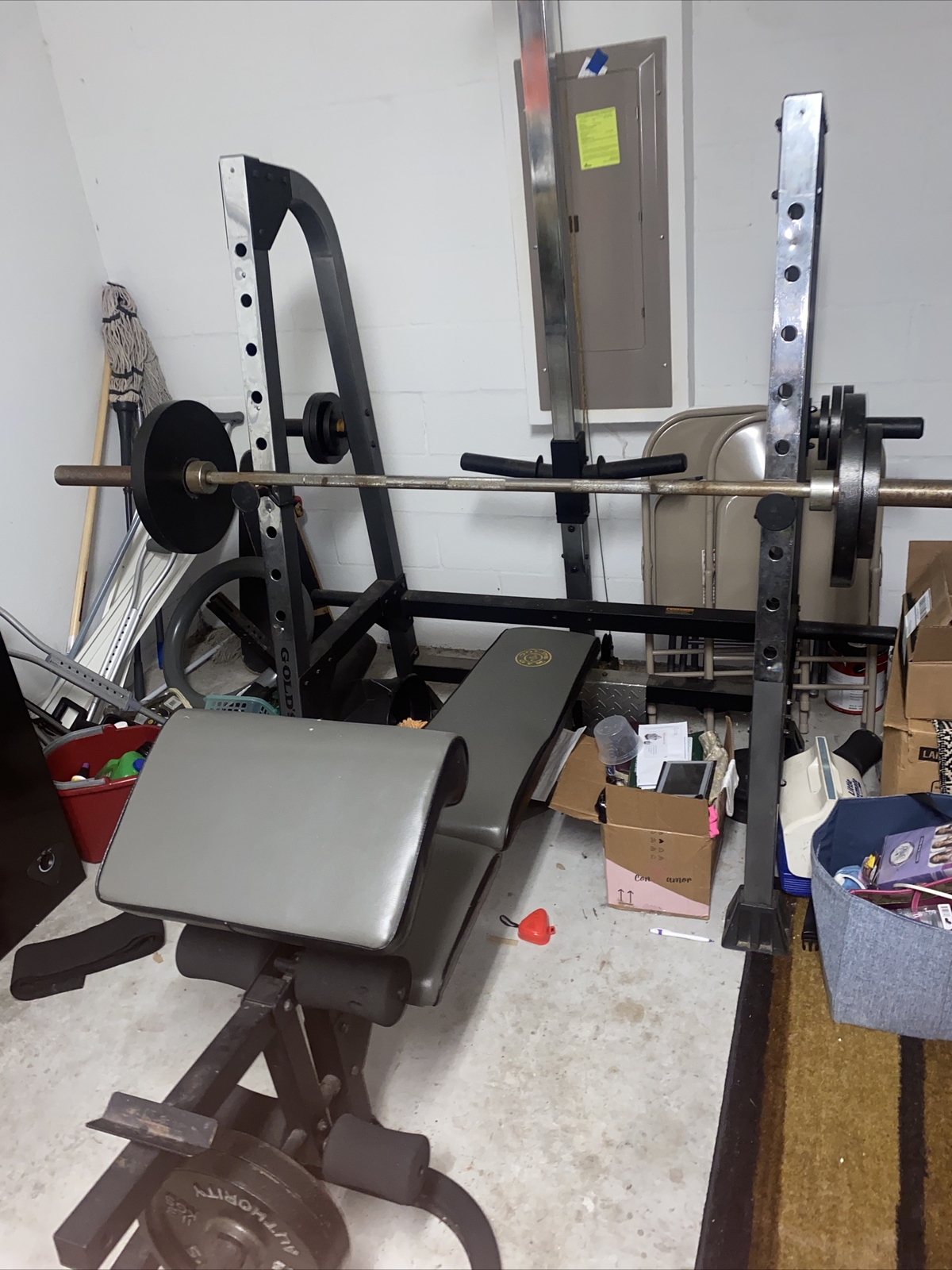 golds gym workout bench