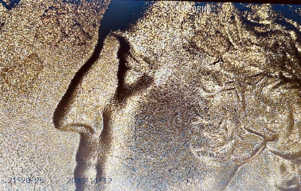 2011  P  GETTYBURG QUARTER ERROR  $29.99 FS # 69   - Image 3 of 4