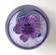 Caithness 2006 "Precious" Sammler Briefbeschwerer #84 lila Lampenarbeit Blume