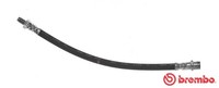 Brembo Bremsschlauch T 50 026 FüR Mercedes Klasse W210 W202 Model S203 W203 S210