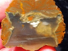 Richardson Ranch Waterline Agate Rough End