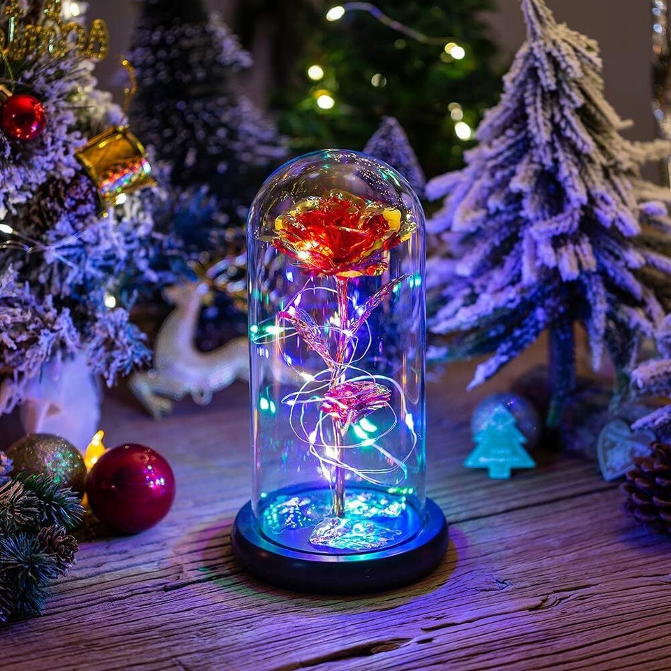 Enchanted Forever Rose Flower In Dome Glass LED Night Light ...