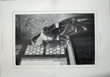 Original Old Antique Print 1889 Fine Art Beautiful Woman Gazing Window 19th