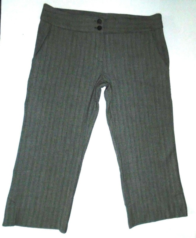 Women's Exact Change Gray Striped 2 Pockets Hip Hugger Capri Cropped Pants Sz 5