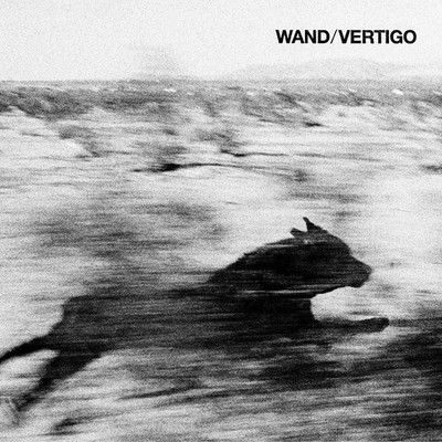 Wand Vertigo LP Vinyl DC865 Neu