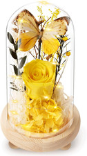 Preserved Yellow Roses in Glass Dome - Perfect Gift for Her on Any Occasion