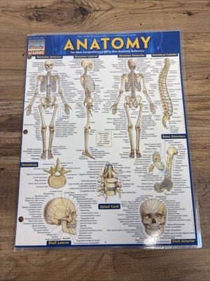 NEW QuickStudy | Anatomy Laminated Tri-Fold Study Guide ~