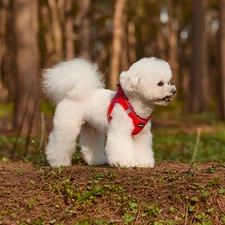 Breathable Soft Reflective Adjustable Reflective Vest Dog Harness w/ Leash